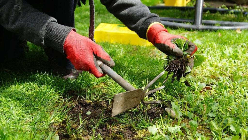Garten für das Frühjahr vorbereiten