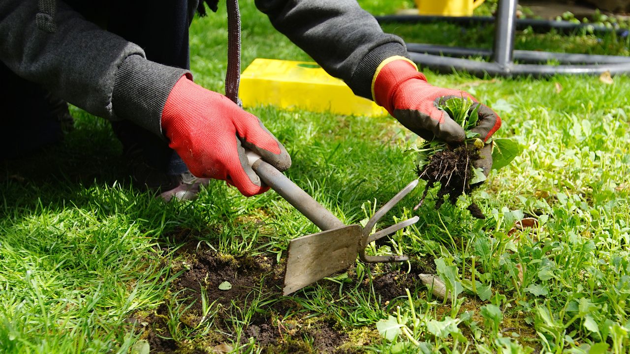 garten für das frühjahr vorbereiten