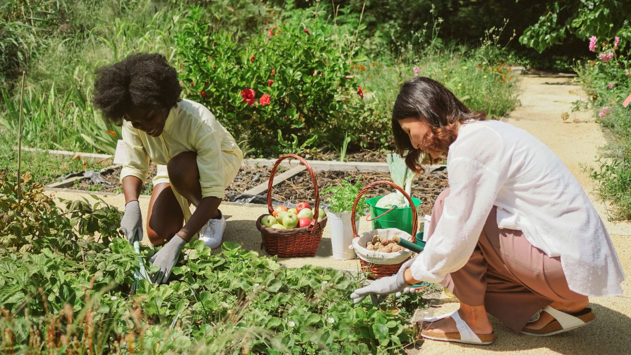 garten nachhaltig gestalten