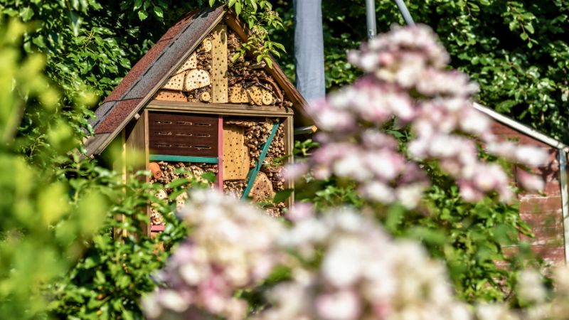 garten für vögel und insekten