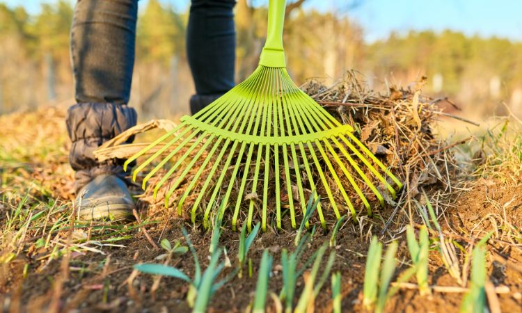 gartenarbeit im frühjahr