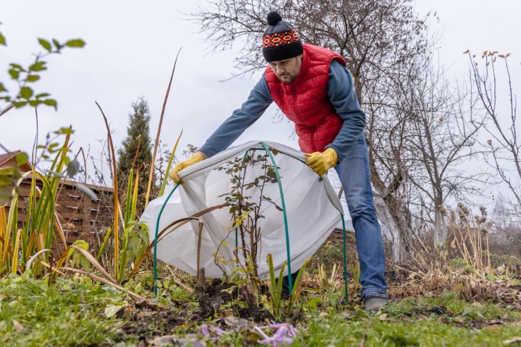 gartenarbeit im winter