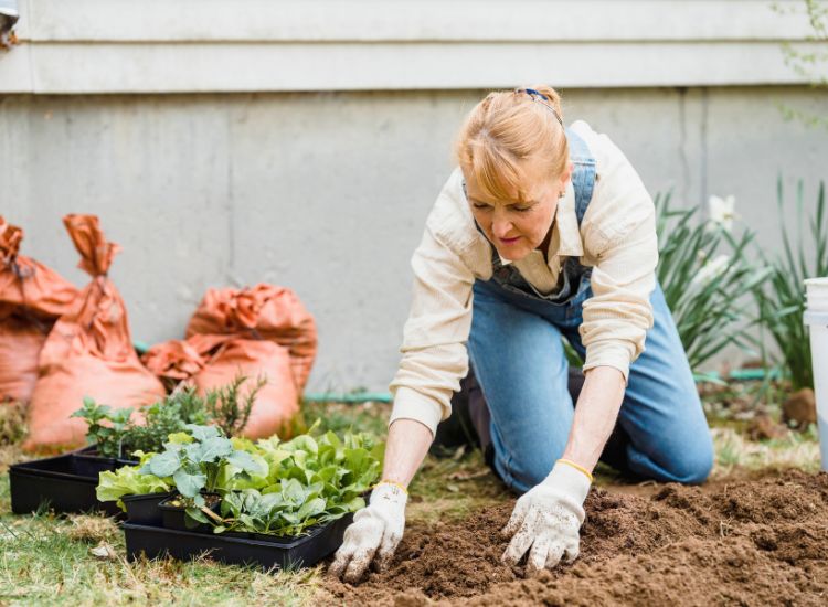 garten im frühling vorbereiten